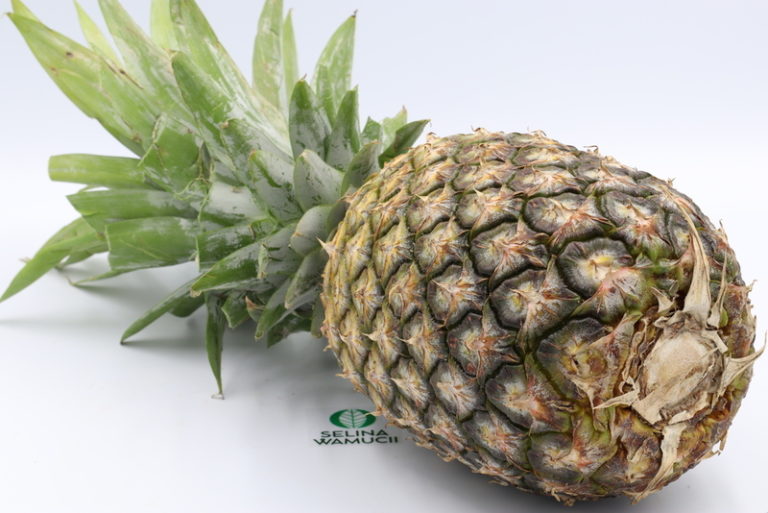 Ethiopian pineapple