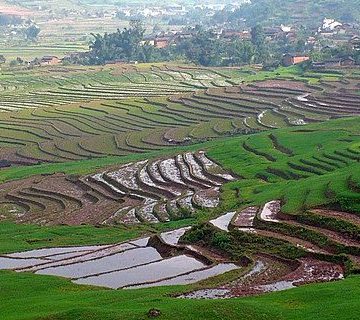 China’s Sichuan Province has entered the spring irrigation centralized water supply period. This year, Sichuan Province will plant 28.14 million mu of rice