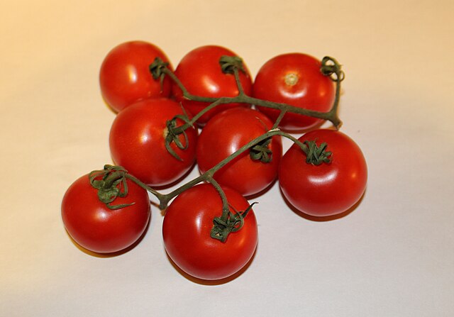 Mexico tomatoes