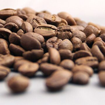 Arabica