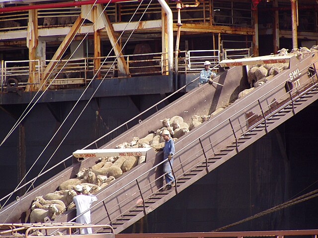 Australia’s live sheep exports ban earns defence at food forum