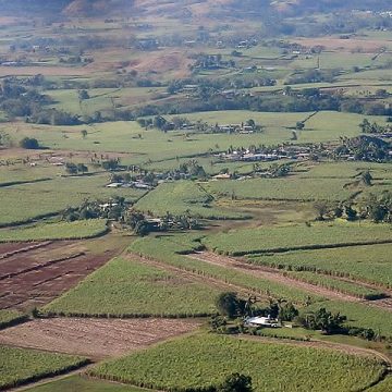 Food prices in Fiji to cool courtesy Agriculture Ministry 