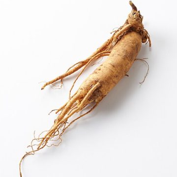 American ginseng gets senatorial defense against trade war with China