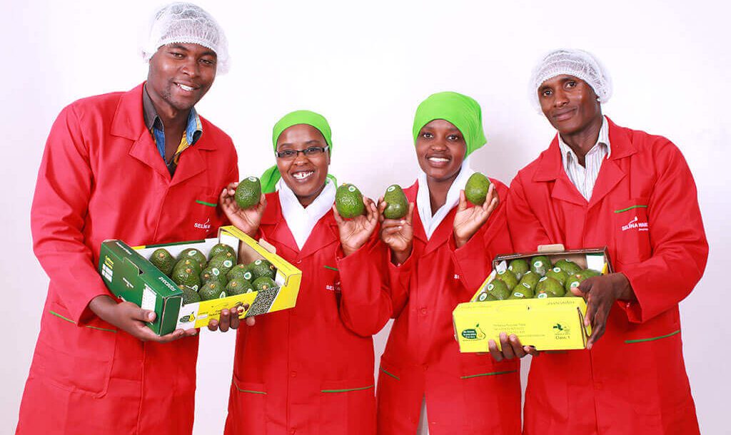 Kenya-Avocados-Selina-Wamucii