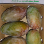 mangos from kenya