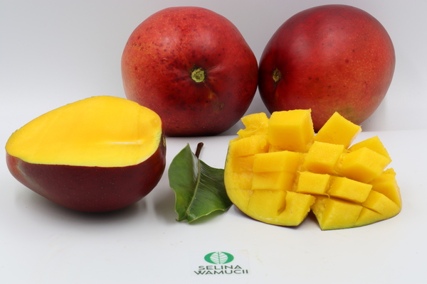 Egypt Mangoes Exporters & Suppliers - Good Market Prices
