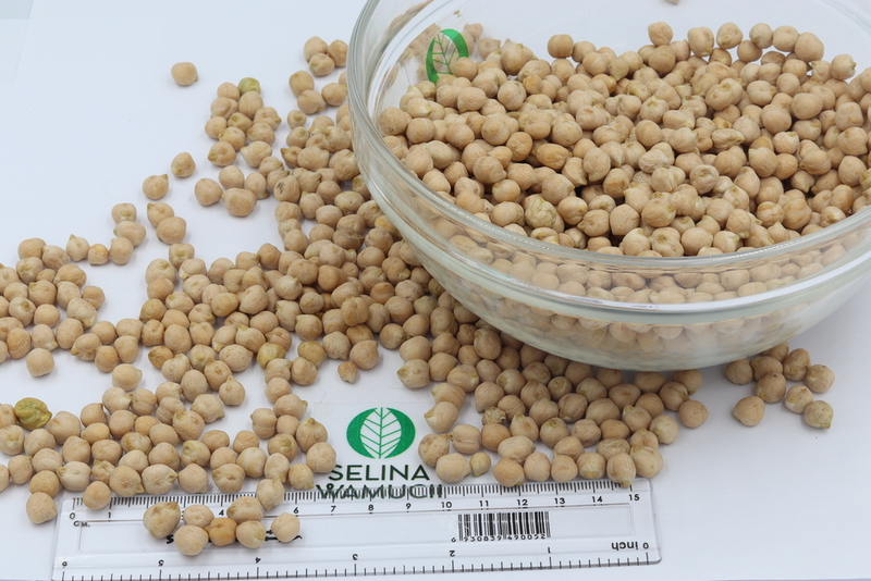 South Africa Chickpeas Exporters Suppliers Good Market Prices