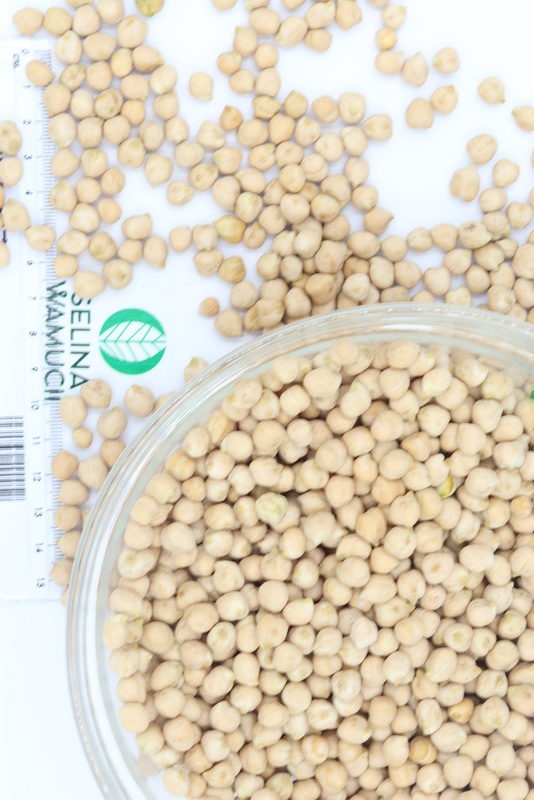 South Africa Chickpeas Exporters Suppliers Good Market Prices