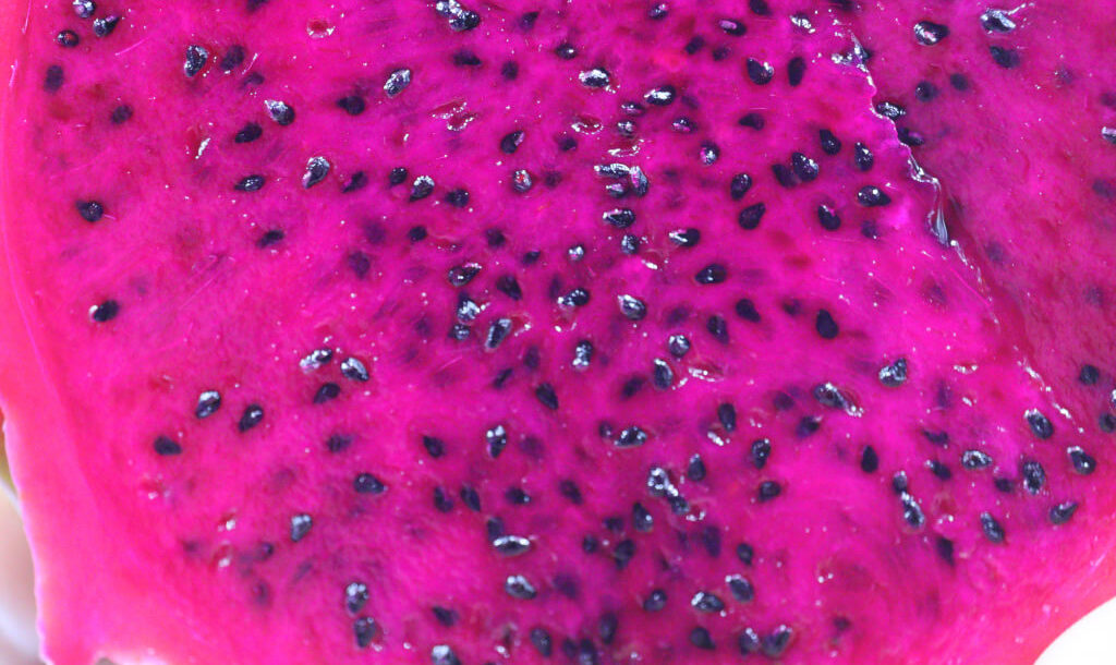 can dogs eat pink dragon fruit